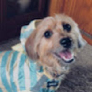 Meet your Posher, Moira